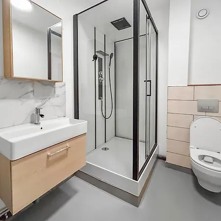 Appartement Moderne Et Spacieux Avec Tv Et Cuisine Equipee Mulhouse